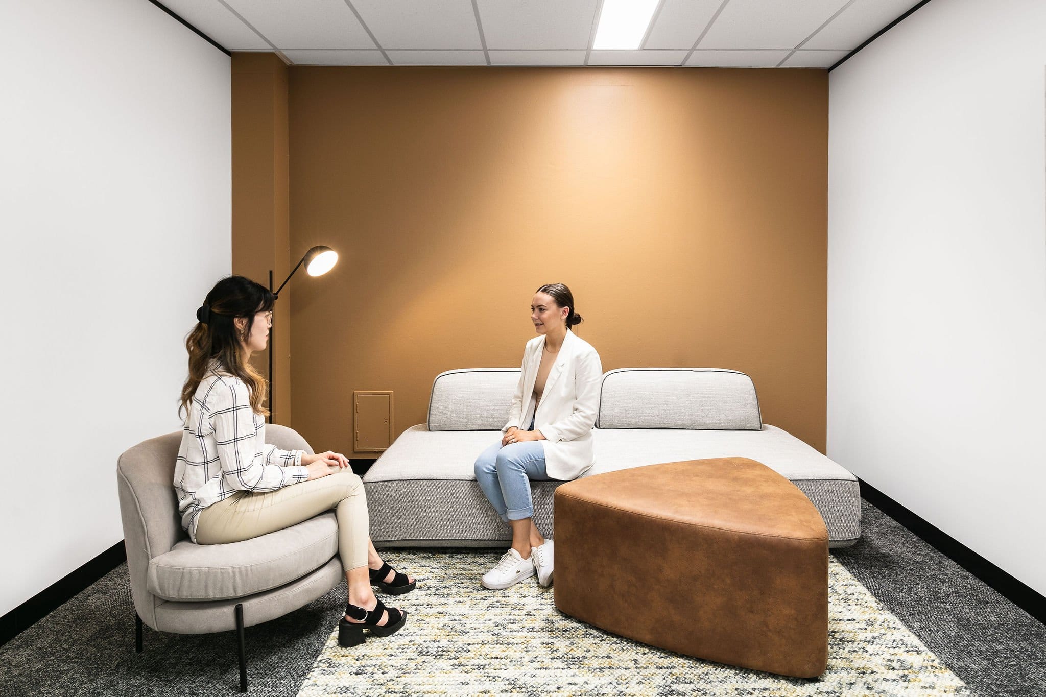 Chartered Accountants Australia and New Zealand (CA ANZ)